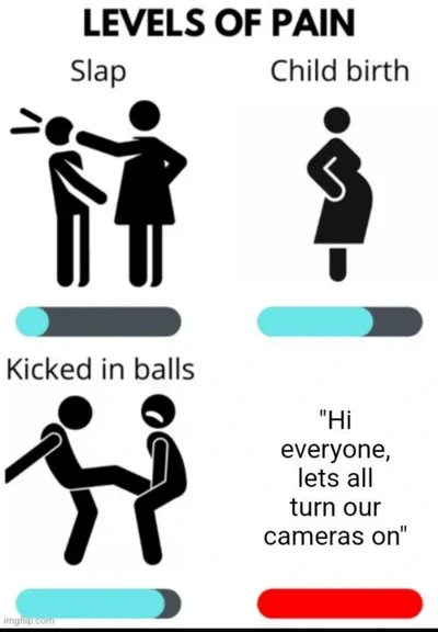 The image is a humorous infographic comparing different levels of pain, presented in a minimalist style using stick figures and colored bars. The title "LEVELS OF PAIN" is at the top in bold, black text.

The infographic is divided into four sections. The first section, labeled "Slap," shows a stick figure being slapped in the face by another stick figure. A progress bar below this section is partially filled with a light blue color, indicating the level of pain.

The second section, labeled "C…