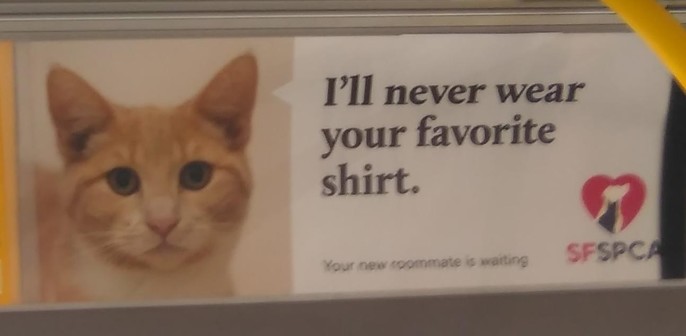 Ad for pet adoption from the SFSPCA that shows a cute orange and white cat looking at the viewer and saying, "I'll never wear your favorite shirt."

Your new roommate is waiting.