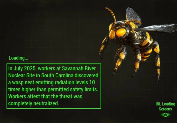
In July 2025, workers at Savannah River 
Nuclear Site in South Carolina discovered 
a wasp nest emitting radiation levels 
times higher than permitted safety limits.
Workers attest that the threat was
completely neutralized. 

IRL Loading
Screens

