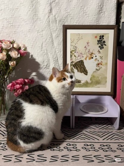 Photo of a chunky kitty next to its fat cat art above the cat food bowl. Just like the painting, the kitty is sitting and facing the same way with flowers behind it.