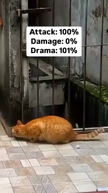 Attack: 100%
Damage: 0%
Drama: 101%

Slow motion video to dramatic music of an orange cat jumping out to "surprise" a white cat. Orange cat makes itself bigger (arches back) mid jump while the white kitty just plops down on its back in response. Such silly kitties.