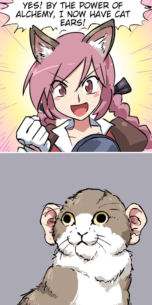 Two panel comic by john_su.
First panel has an anime girl with pink hair and cat ears saying, "Yes! By the power of alchemy, I now have cat eats!"
Second panel show a normal cat, but it has human ears instead.