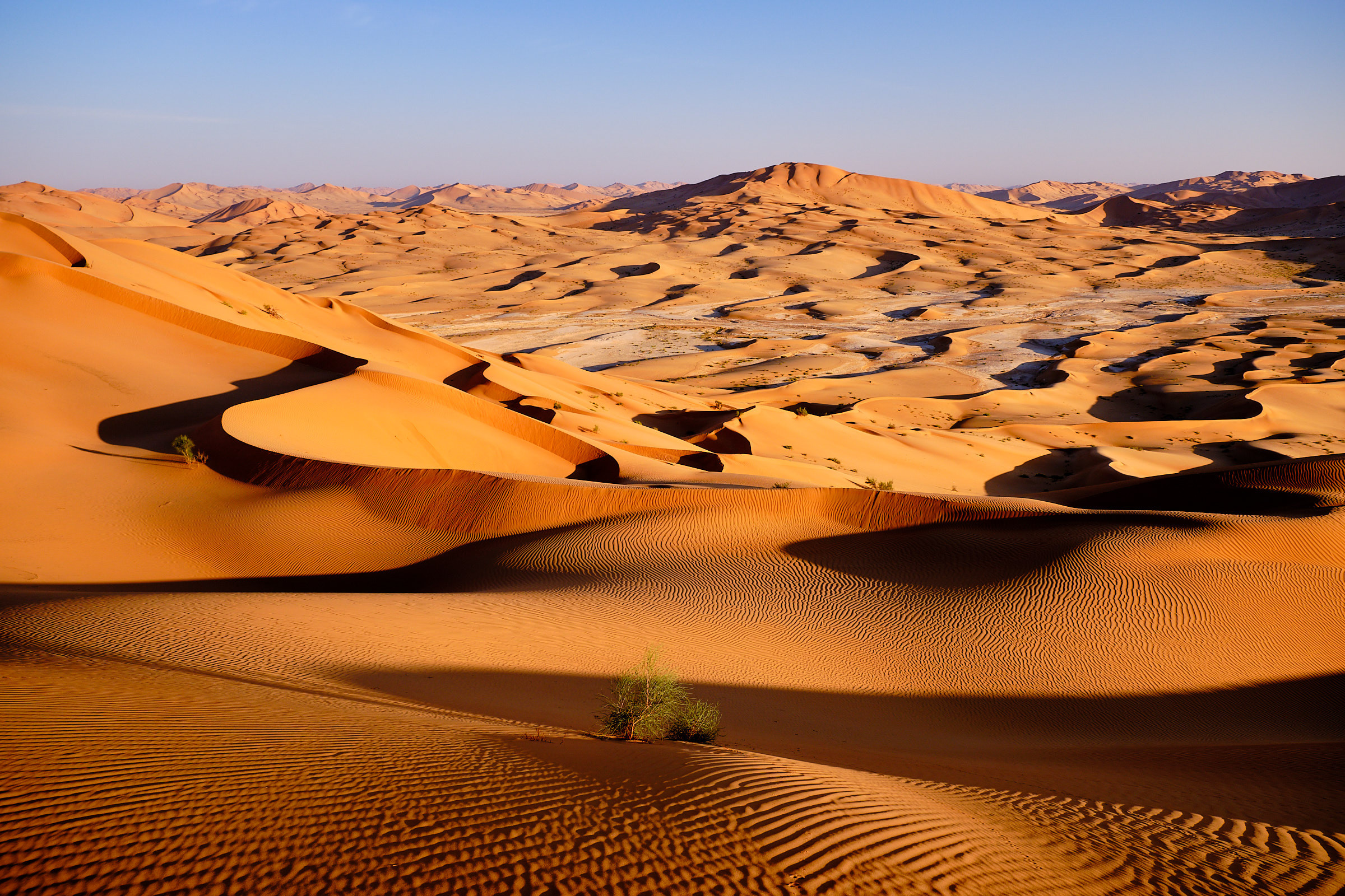 hohe orange Sanddünen in der Rub Al Khali im Oman in der Morgensonne hohe orange Sanddünen in der Rub Al Khali im Oman in der Morgensonne