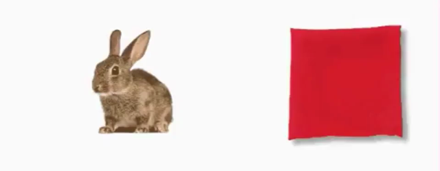 Video of someone in an image editing program where it shows a bunny and a red square of cloth on a white background. They make a square selection around the cloth, then move the cutout over the bunny. The cursor goes off screen to bring over a magic wand picture to "tap" the red cloth, before cutting and moving the cloth back to its original position. The bunny has disappeared! Finally, a still image of several people's hands clapping is brought up from the bottom as celebration. 

Note: No bun…