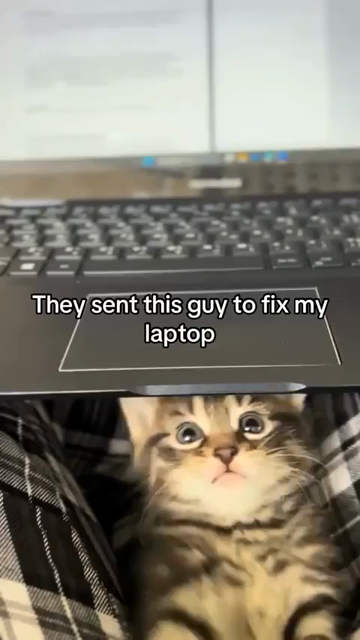 They sent this guy to fix my laptop.

Video of a small kitten laying on its back on someone's lap next to a laptop which the kitten is "fixing". Go ahead and eat Copilot while you're at it, little guy!