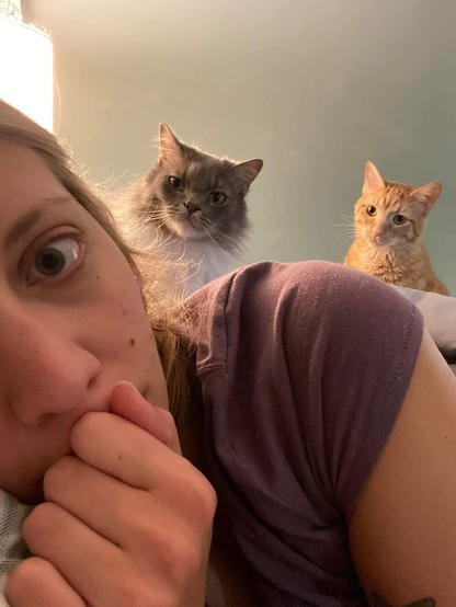 Photo of someone talking a selfie on the bed while two cats stare intently at them. This was the last photo taken before they were mysterious eaten by something. Don't worry, the well fed kitties were recovered and are doing great!