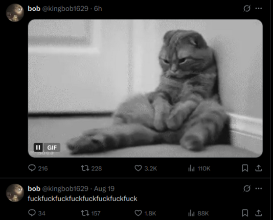 A Twitter posts from Urban today around the time of his sentencing shows a cat with its back against the wall slumped forward in a dejected splayed pose. The tweet directly before that one just says "fuckfuckfuckfuckfuckfuck"