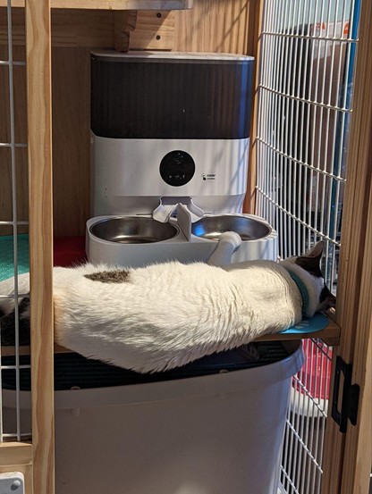Photo of a cat sleeping next to its automated food dispenser with one paw resting on the bowl.