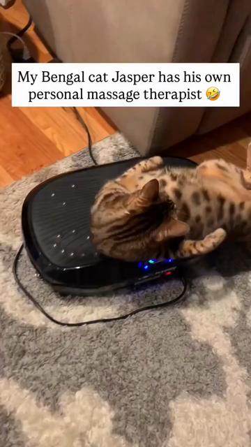 Video of a Bengal cat laying on a massage board (for feet, I think) while being jiggled around like jelly. Kitty seems to enjoy it. Caption says:

My Bengal cat Jasper has his own personal massage therapist 🤣