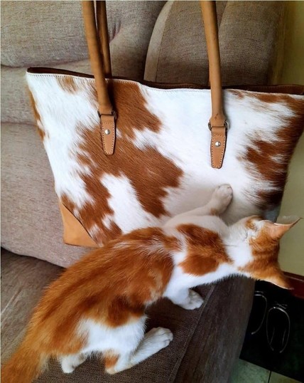 Photo of an orange and white cat on a couch sniffing a purse covert with faux fur that looks just like the pattern on the kitty.