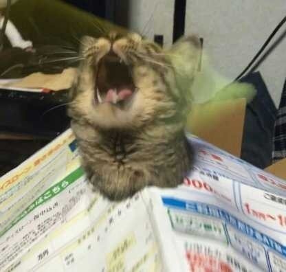Photo of a cat with its head bursting through a newspaper. It's either meowing or yawning, either the way it looks like a alien bursting out of someone's chest (if the newspaper was somebody's chest.)