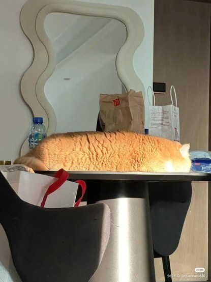 Photo of a long fluffy cat laying on a table with a sunlight hitting it just right to making it look even more like a rectangular loaf of bread.