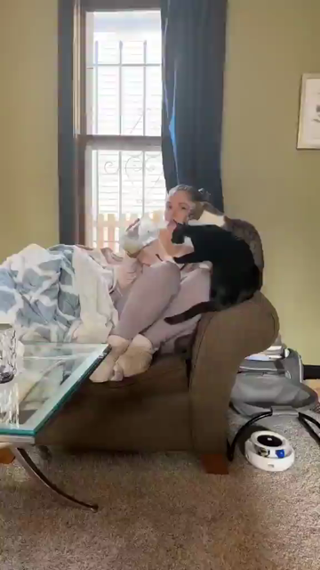Video of someone moving a tapioca pearl from her bubble tea up and down her straw as two cat inches away excitedly track its movements. A tasty treat and entertainment for the cats (well until they lunge at it, anyway)!