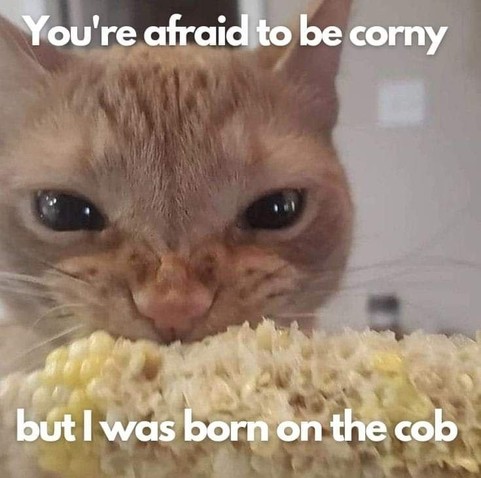 You're afraid to be corny,
but I was born on the cob

[Photo of an orange cat chomping down on some corn on the cob while looking at the camera[
