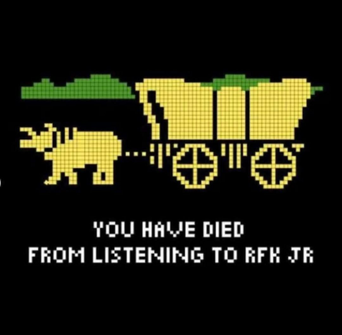 'game over' screen from Oregon Trail 

YOU HAVE DIED FROM LISTENING TO RFK JR