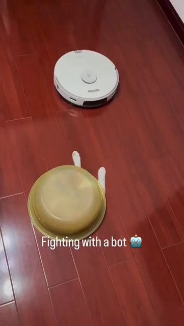 Video on old and white cat underneath a semitransparent yellow bowl on the floor while its paws stick. A roomba style robot vacuum crawls close, and the kitty paws at the bot, which causes the cat to successfully hook the sweepers. The kitty, hanging on to its prey, gets partially pulled out as the automation goes the other way. Caption for the video says:

Fighting with a bot 🤖