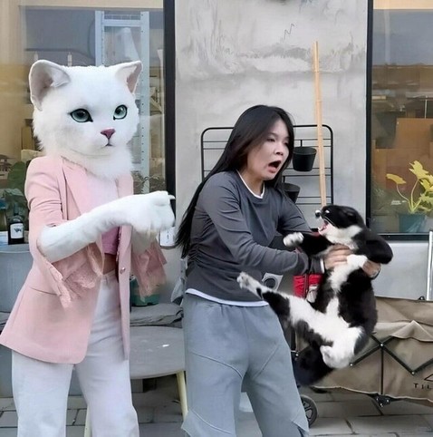 Photo of someone in a white cat costume with paws while wearing a light pink jacket and white pants next to a lady holding a tuxedo who is freaking out at the giant cat next to them!