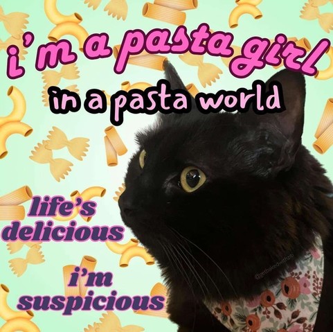 Photo of a black cat wearing a floral leash (or a floral bib) looking to the left with a background covered in pasta noodles. Caption says:

i'm a pasta girl 
in a pasta world
life's delicious
i'm suspicious