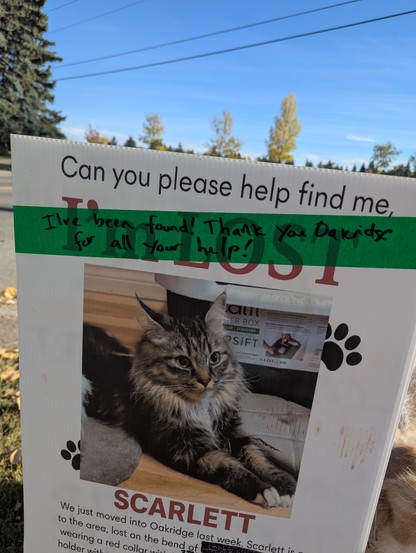 The image is a close-up of a "lost cat" sign. The sign is made of a white, corrugated plastic material. The text on the sign reads "Can you please help find me," with the word "LOST" boldly printed underneath. A green strip of tape is adhered across the sign, and handwritten in black marker are the words "I've been found! Thank you Oakridse for all Your help!"

Below the text is a photograph of a cat, Scarlett. The cat is a medium-haired breed, possibly a Maine Coon, with a mix of brown, gray, …