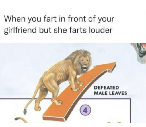 The image is a meme that humorously depicts a lion as a visual representation of a person's reaction when their girlfriend produces a louder fart.

The main element is a digitally altered image of a lion. The lion is drawn in a realistic style with a golden-brown mane and fur. It is positioned on an orange arrow that slopes upwards, suggesting the lion is climbing. The lion's posture suggests defeat or surprise. The lion's expression seems to convey a sense of shock or disappointment.

To the r…