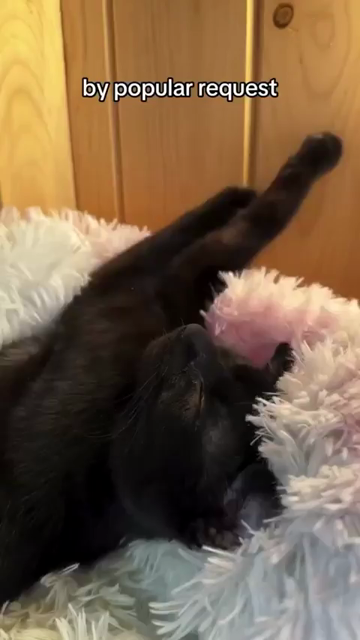 By popular requests I give you all the otter noises without background music.

Video with several clips of a cute black kitty making trilling and chirping noises. 

mrrrrrrp