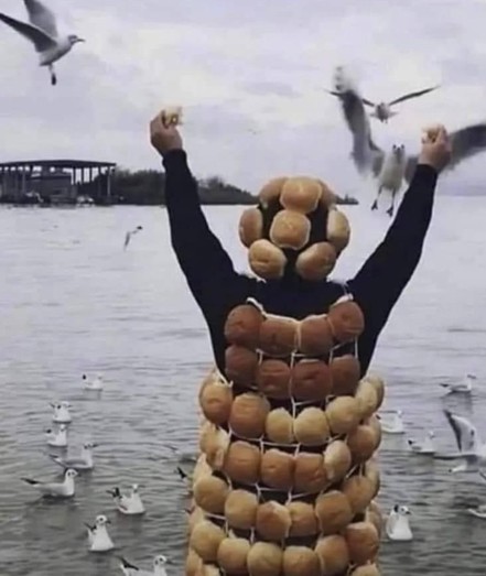 Food is someone at the shore with bread roll strapped all around them whilw they also hold up pieces of bread as a flock of seagulls approaches.