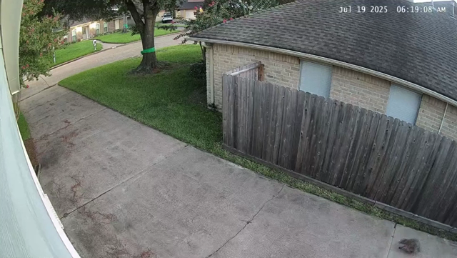 a mask of raccoons captured on a security cam that look suspiciously like they are planning a heist  