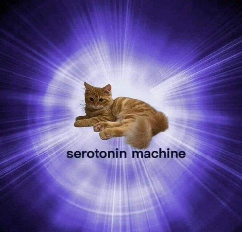 Photo of an orange fluffy cat laying down while surrounded by beams of light in a blue void. Caption says:

serotonin machine
