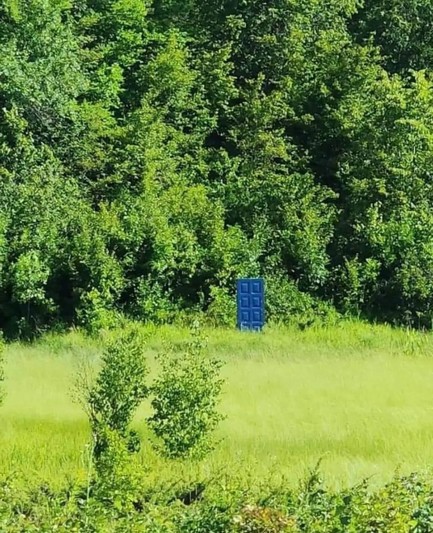 Photo of a field at the edge of a forest with a mysterious blue door standing up by the treeline.