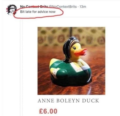  No.Comtet-Brita@AQContextBrits - 13m
 Bit late for advice now)


ANNE BOLEYN DUCK

£6.00
