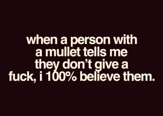 when a person with
a mullet tells me
joy cont give a
fuck, i 100% believe them.
