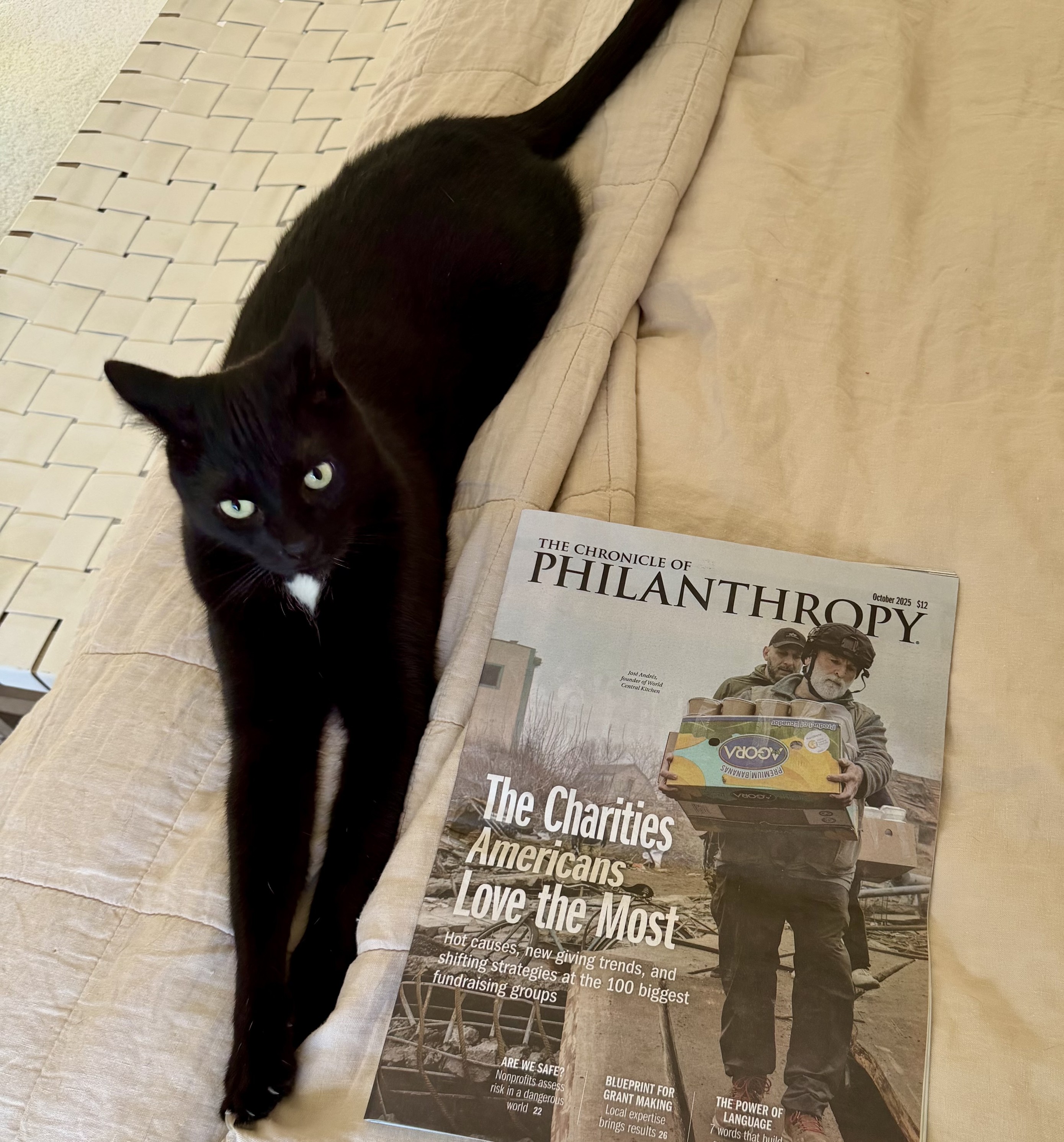 Black super stretchy cat lying next to the latest printed issue of the Journal of Philanthropy