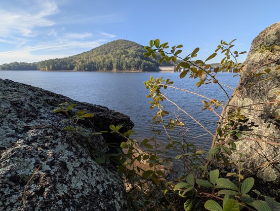 A wide, blue body of water stretches into the distance, framed by rocky outcroppings in the foreground. The rocks are grey and textured, with patches of green moss and lichen. In the center of the image, a densely wooded hill rises above the water’s edge. A few branches with green leaves extend into the frame from the right side and partially obscure the view of the hill. The sky is a clear blue with some wispy clouds.
