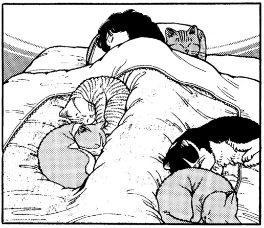 Black and white drawing of someone laying in a bed with five cats all snuggled on them for warmth.