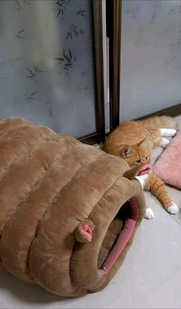 Photo of a fluffy orange and white cat laying next to its worm-shape cat house with ears (I guess). One of the ears for the bed lines up with the cat's mouth which makes it look like the kitty has big lips.