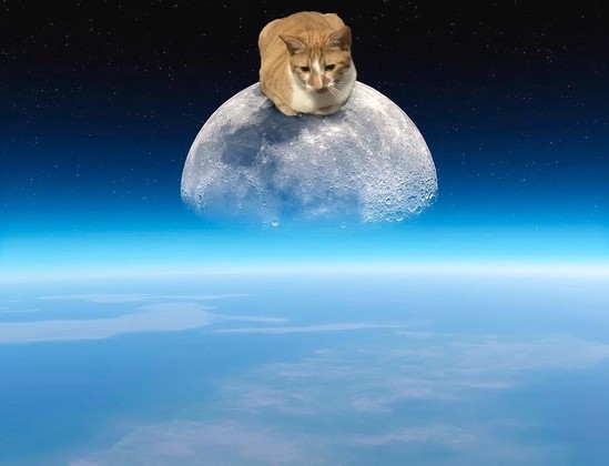 Photo taken from low orbit of the moon with a large orange and white cat loafing on top while looking down at the earth.