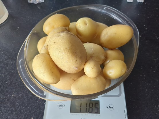 Un bol de pommes de terre de tailles variées sur une balance de cuisine. Celle-ci affiche 1185g, après avoir appliqué la tare.