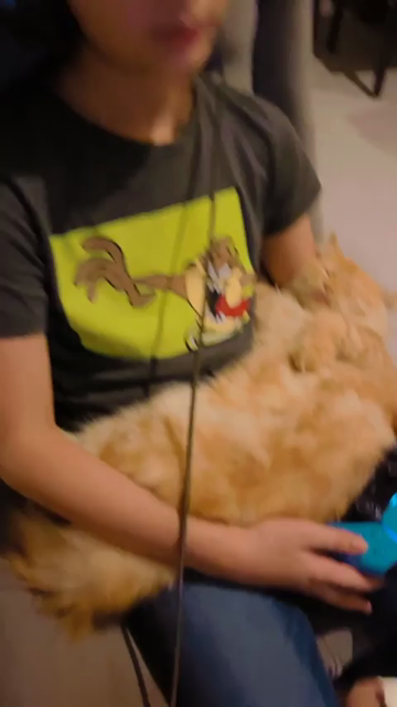 Video of a big fluffy orange cat sound asleep and laying on its back on someone's lap as they play video games. Movements from pressing buttons and even leg bouncing only soothe the floofy kitty.