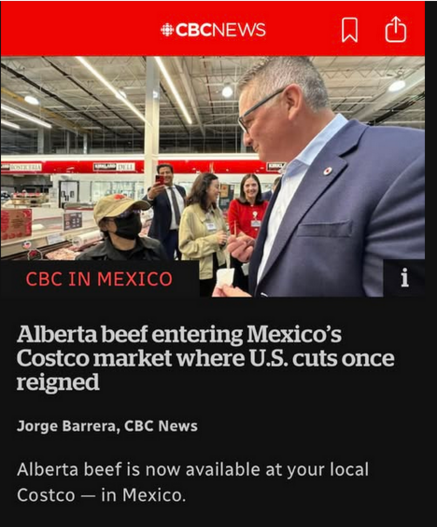 #CBCNEWS 

CBC IN MEXICO 

Alberta beef entering Mexico's
Costco market where U.S. cuts once
reigned
Jorge Barrera, CBC News
Alberta beef is now available at your local
Costco — in Mexico.
