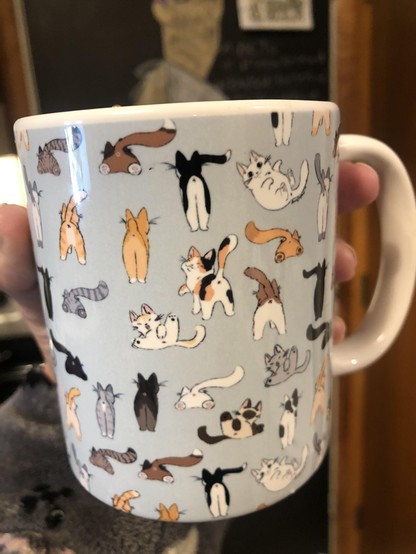 Photo of someone holding up a coffee mug with a bunch of cats showing their butt drawn on it. A more refined mug for the sophisticated cat owner.