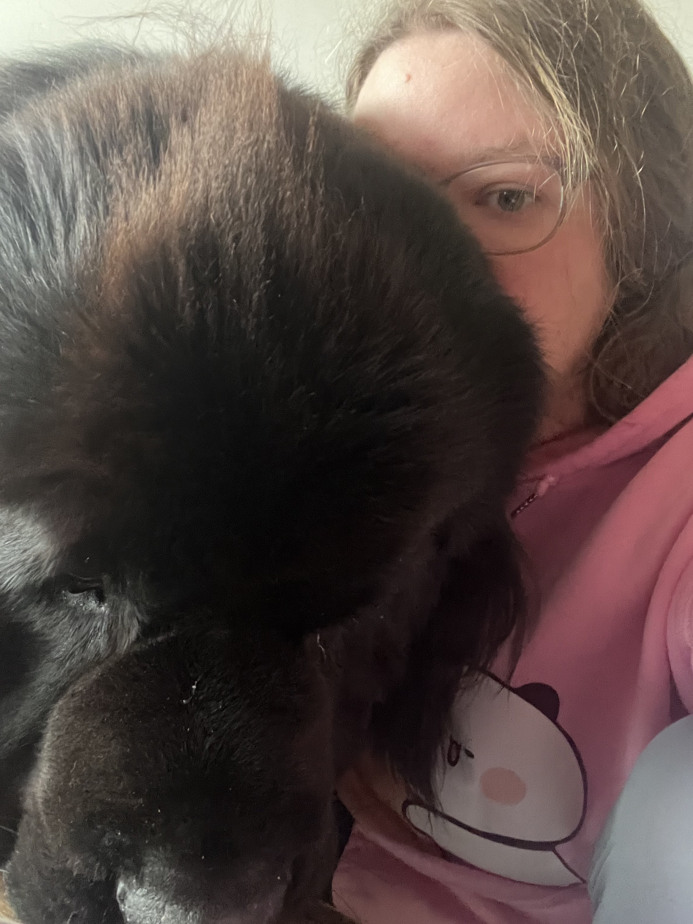 My face barely visible behind Odin the Newfie leaning his head against me