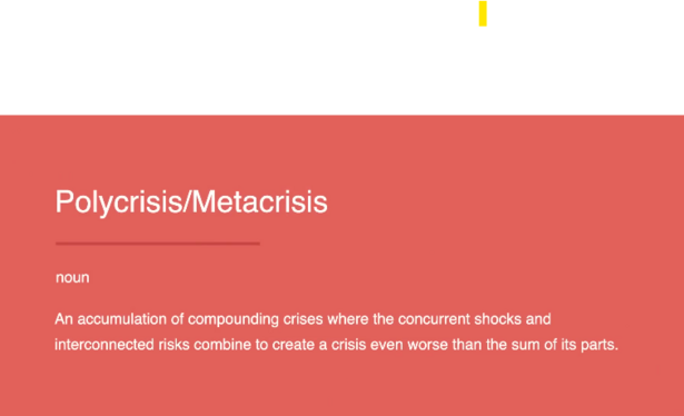 Polycrisis/Metacrisis

noun

An accumulation of compounding crises where the concurrent shocks and
interconnected risks combine to create a crisis even worse than the sum of its parts.
