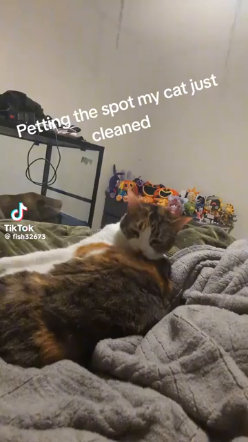 "Petting the spot my cat just cleaned"

Video shows a kitty grooming a spot with their tongue while lying down on a bed. A hand creeps up and pets that very spot, which causes the cat to stop and look at them briefly before cleaning the same spot again. Once again the hand creeps in and pets the currently being cleaned spot. This time the kitty gives a long stare that the intruding human, before finally resume cleaning that same spot. After the third time the human sneak a pet in to the cleanin…