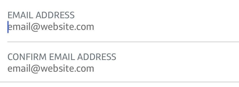 Web form with two fields.  First first is labeled "EMAIL ADDRESS", second field is labeled "CONFIRM EMAIL ADDRESS".  Both fields have example text of: email@website.com