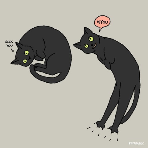 Two section borderless comic by pfeffaroo showing a black cat laying down. The left shows the black kitty all curled up like a croissant with text pointing to it that says "SEES YOU". The The right shows the same kitty, this time meowing "NYOU" and stretching out its bottom paws while as it greets you laying down.