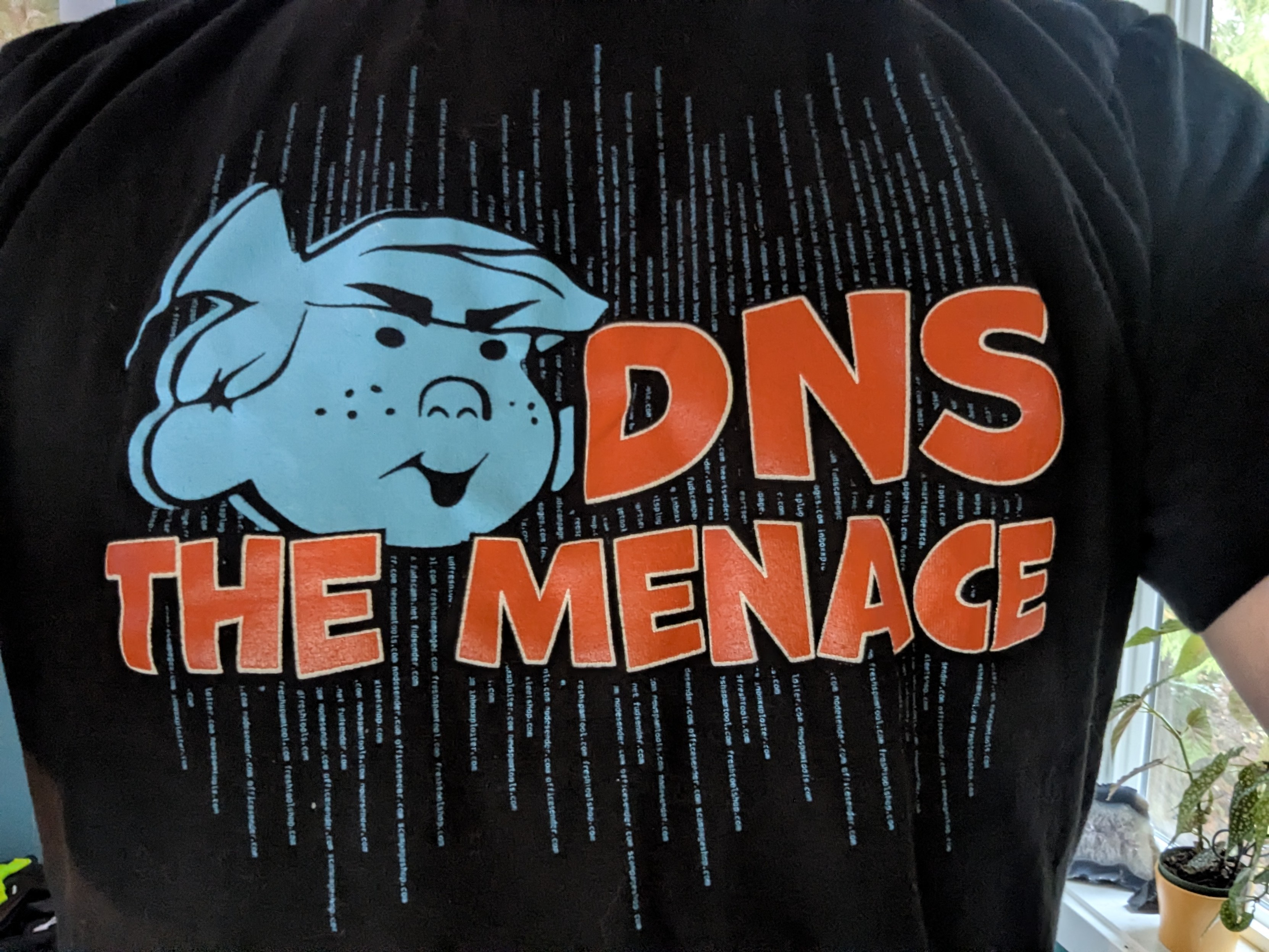 Black shirt with the words "DNS the menace" and Dennis the Menace's face.