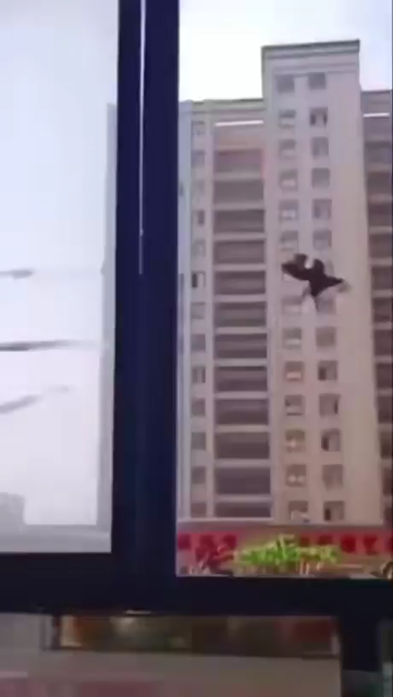 Video of from a high rise apartment with an open window showing a crow flying in with money in its beak. The crow lands in a drawer that's just filled with many denominations of bills. Money money y'all!