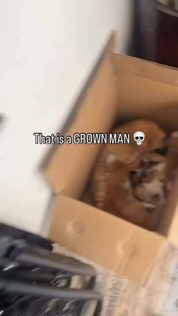 Video of someone looking in a box with a momma cat nursing her kittens, except one of them is a grown cat. The offending, fully grown one is removed, but there is clearly zero regret in his eyes. Caption says:
That is a GROWN MAN 💀