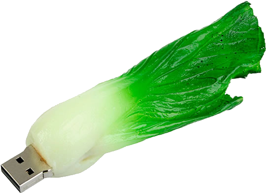 USB thumb drive with a leek on it