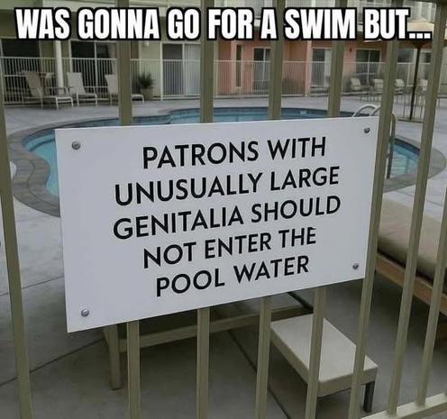 The image shows a humorous scene centered around a pool area. The main focus is a white sign attached to a metal fence. The sign is the focal point, with black text that reads "PATRONS WITH UNUSUALLY LARGE GENITALIA SHOULD NOT ENTER THE POOL WATER". Above the sign, in a larger, bolder font, the text "WAS GONNA GO FOR A SWIM BUT..." is superimposed, adding to the comedic effect.

The background reveals a typical outdoor pool area. A circular pool with light blue water is visible, surrounded by a…